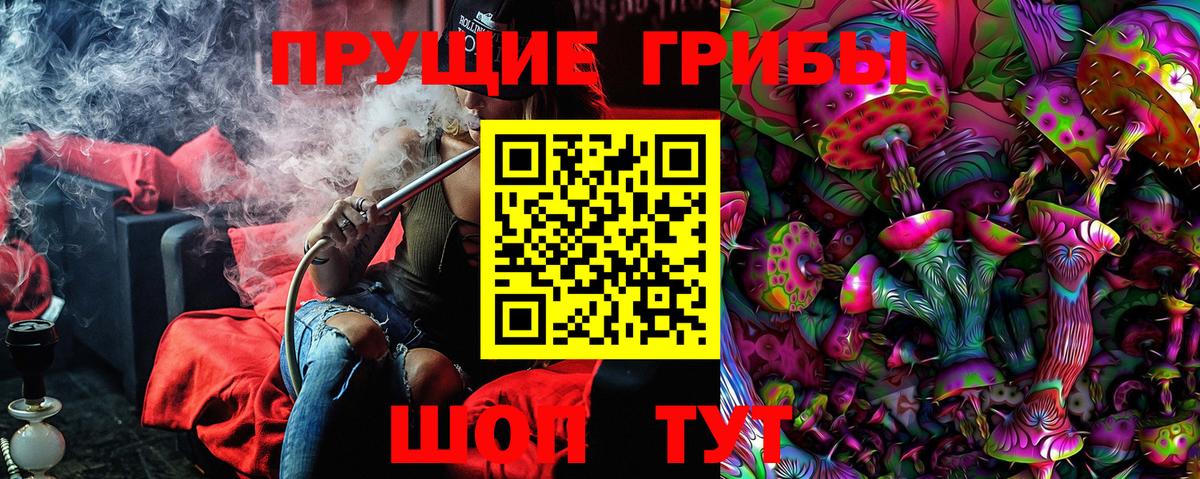 Барабинск  Псилоцибиновые грибы Psilocybe  Вход с VPN 